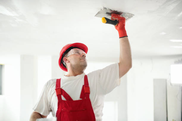 Best Eco-Friendly and Low-VOC Painting  in Oceano, CA